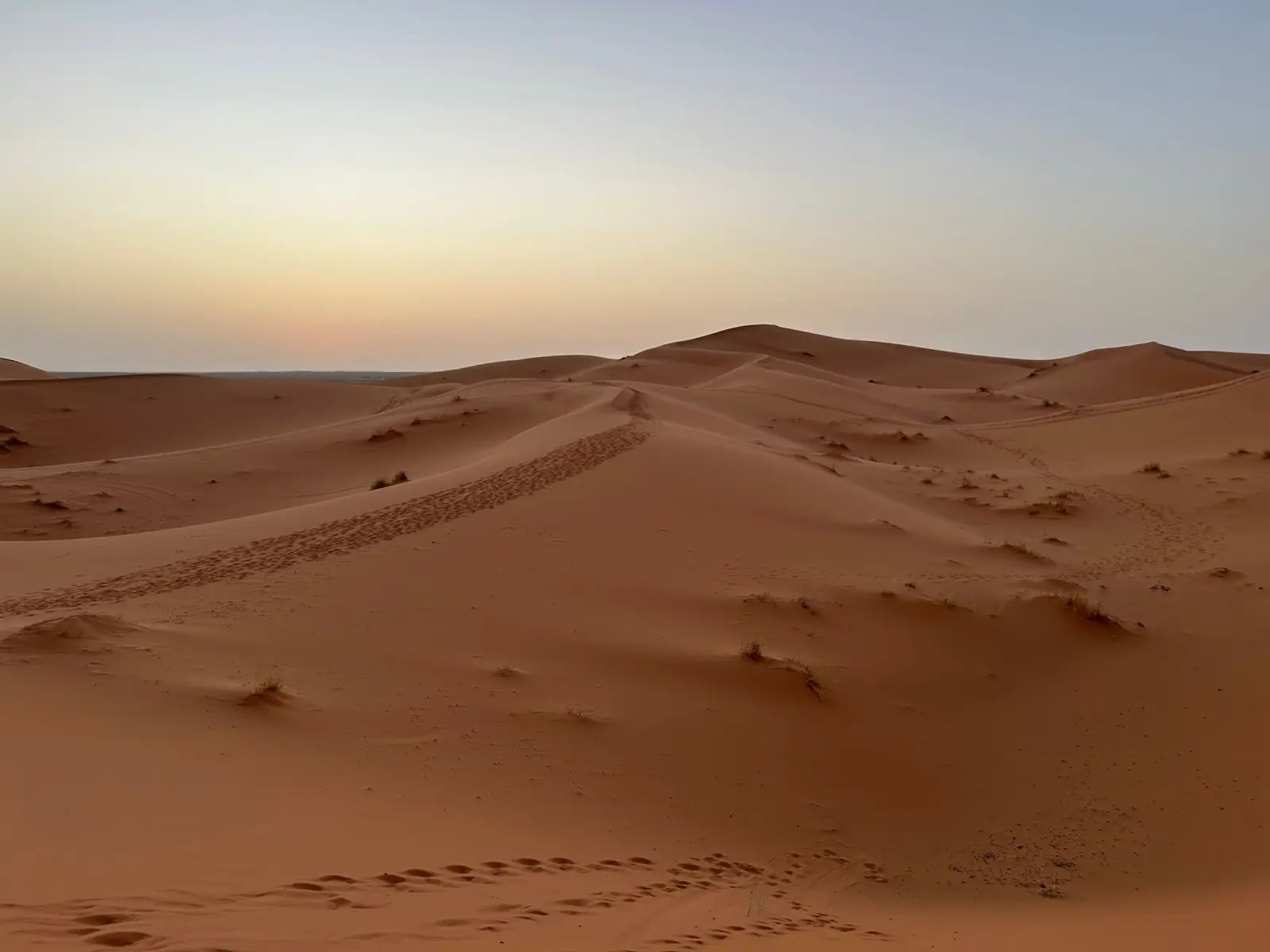 A path of footprints over dunes at twilight