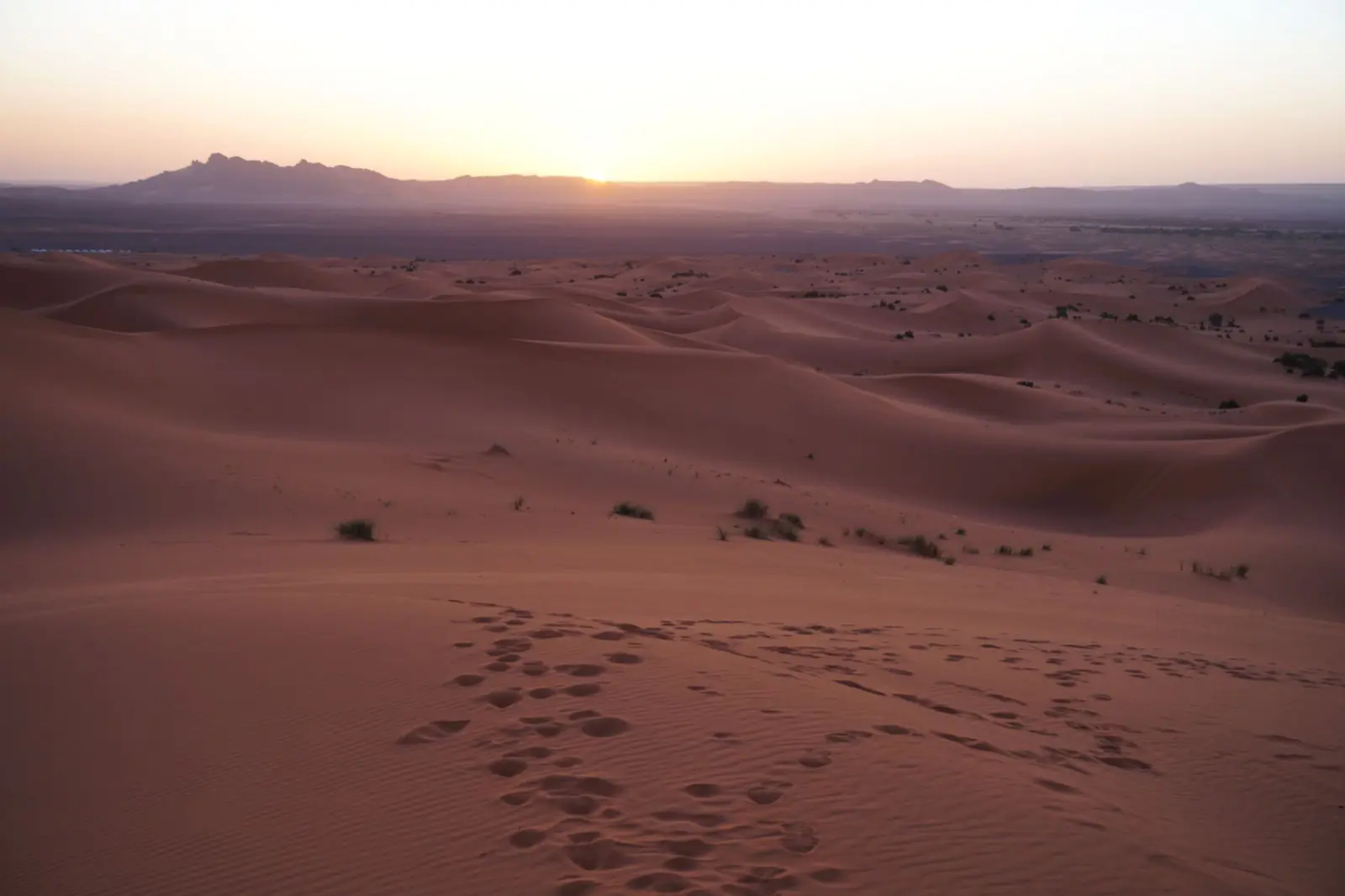Sunrise over dunes near Merzouga, with footprints in the sand